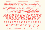 Monday Chitrus Bold Handwritten, a Script Font by Letterena Studios Script (Thumbnail 18 of 20)