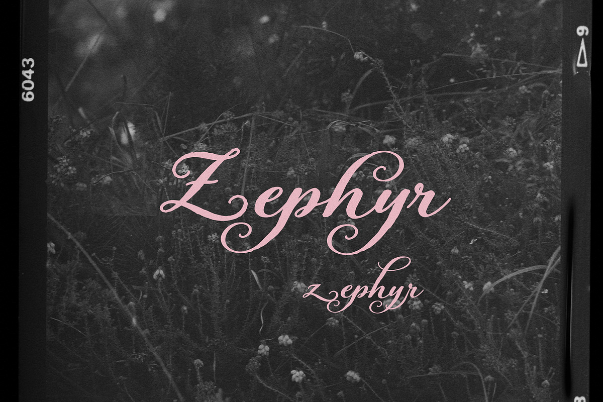 Velvet Fleur - Elegant Script Font, a Script Font by Mneme (Photo 2 of 11)