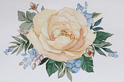 Watercolor Peony Floral Clipart Bund, a Graphic by Creativeshirt (Thumbnail 3 of 15)