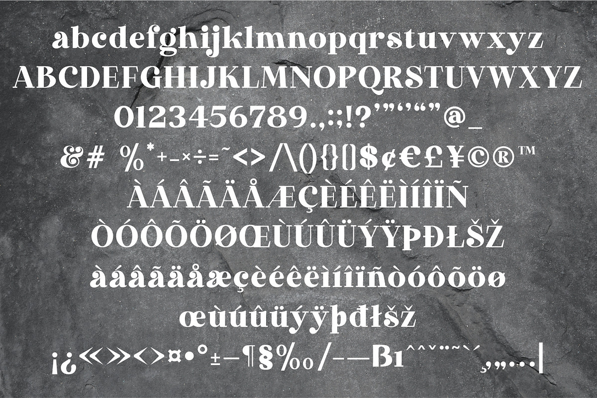 Kamila | Modern Slab Serif Font, a Slab Serif Font by MchCrafter (Photo 10 of 11)