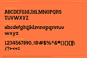 Rofane Mono, a Serif Font by Muksal Creative (Thumbnail 12 of 13)