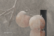 Nagomi - Japanese Paper Textures, a Texture Graphic by alonahaidash (Thumbnail 24 of 26)