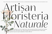Neue Mylon - 21 Fonts, a Sans Serif Font by Nasir Udin (Thumbnail 2 of 14)