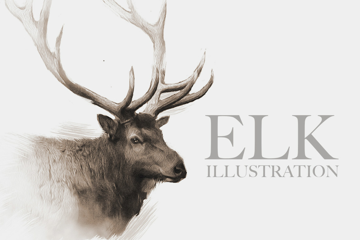 Elk Wildlife Illustration, an Animal Illustration by Digital Art Downloads (Photo 1 of 5)