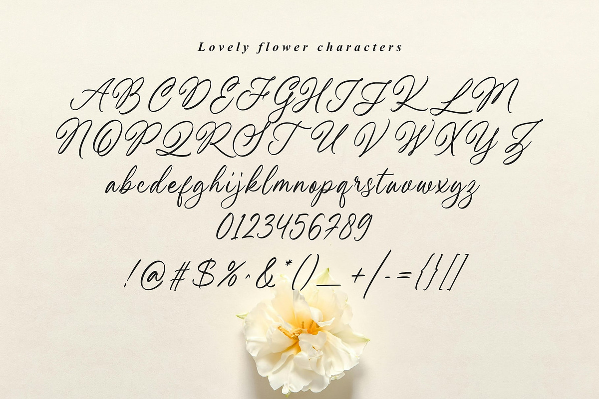 Lovely flower, a Script Font by Damarletter (Photo 9 of 9)