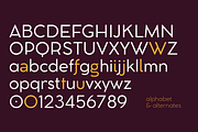 Cocomat Pro - 18 fonts, a Sans Serif Font by Zetafonts (Thumbnail 12 of 14)
