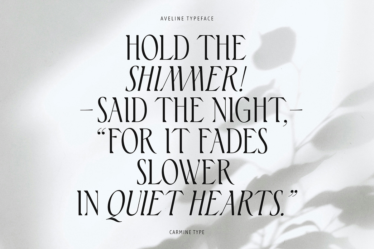 Aveline, Soft Serif with Ligatures, a Serif Font by CarmineType (Photo 20 of 28)