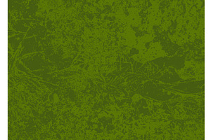 dirty green moss background Hand, a Texture Illustration by Nenahliadava Design