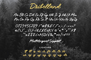 Dribelland - A Handwritten Font