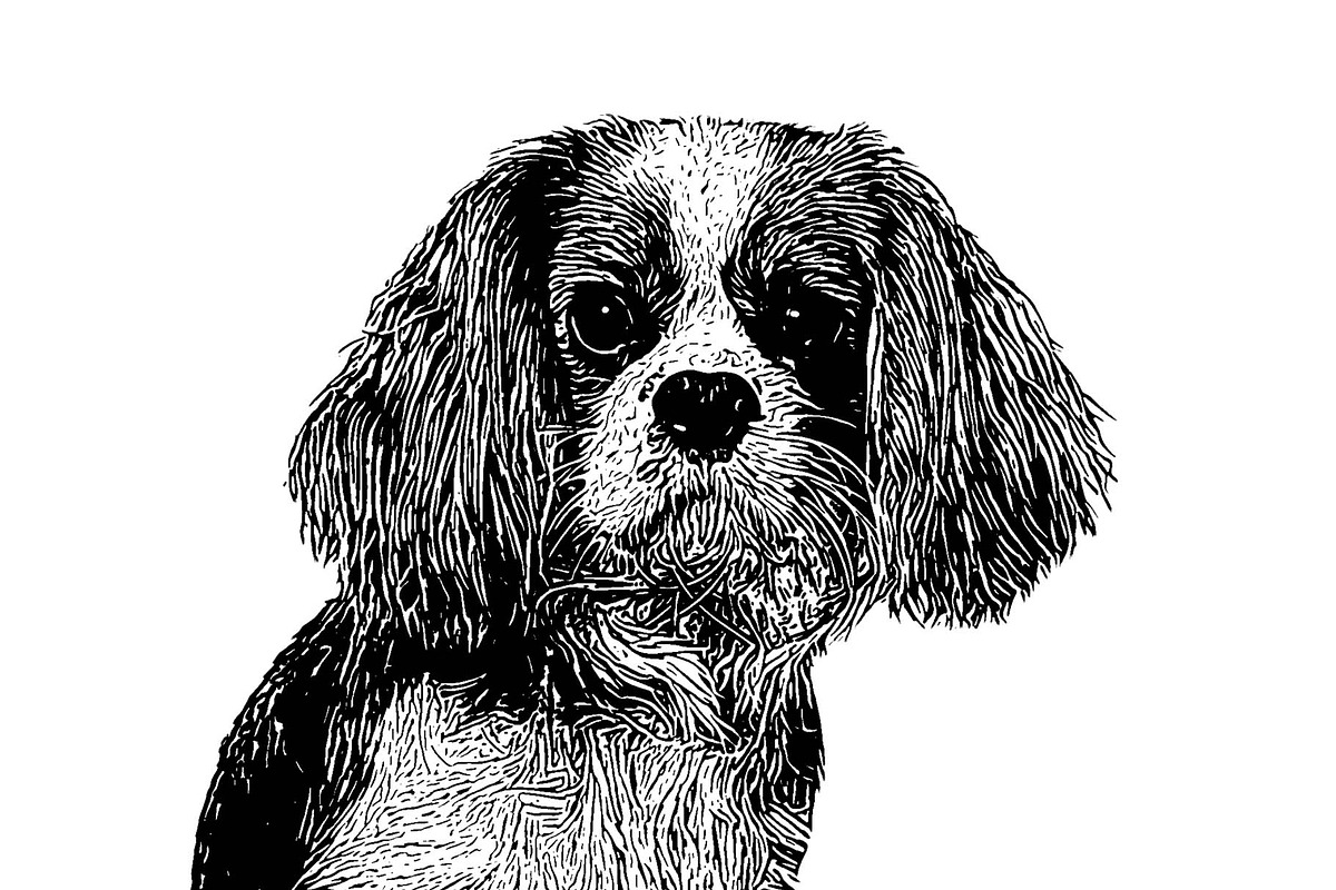 Dog Photo to Tracing Action, an Action Add-On by Photoshop Action (Photo 6 of 10)
