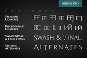 Artica Pro Family, a Sans Serif Font by Green Type (Thumbnail 5 of 5)