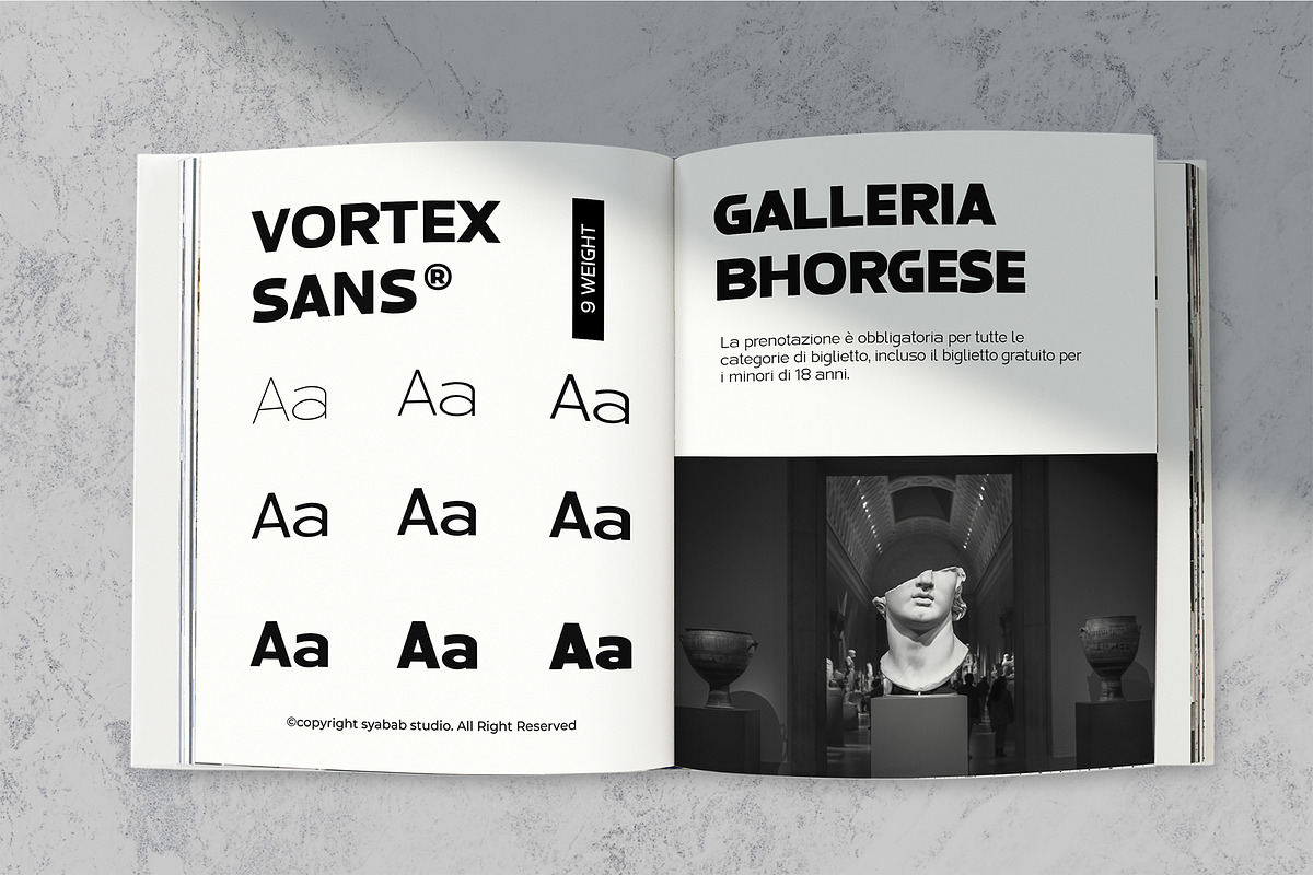 Vortex Sans, a Sans Serif Font by syabab studio (Photo 11 of 20)