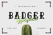 CELEBRATE 2019 BUNDLE - 51 Fonts, a Slab Serif Font by giemons™ (Thumbnail 12 of 37)