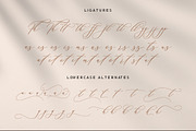 Beautiful in White, a Script Font by HKL Studio (Thumbnail 10 of 12)