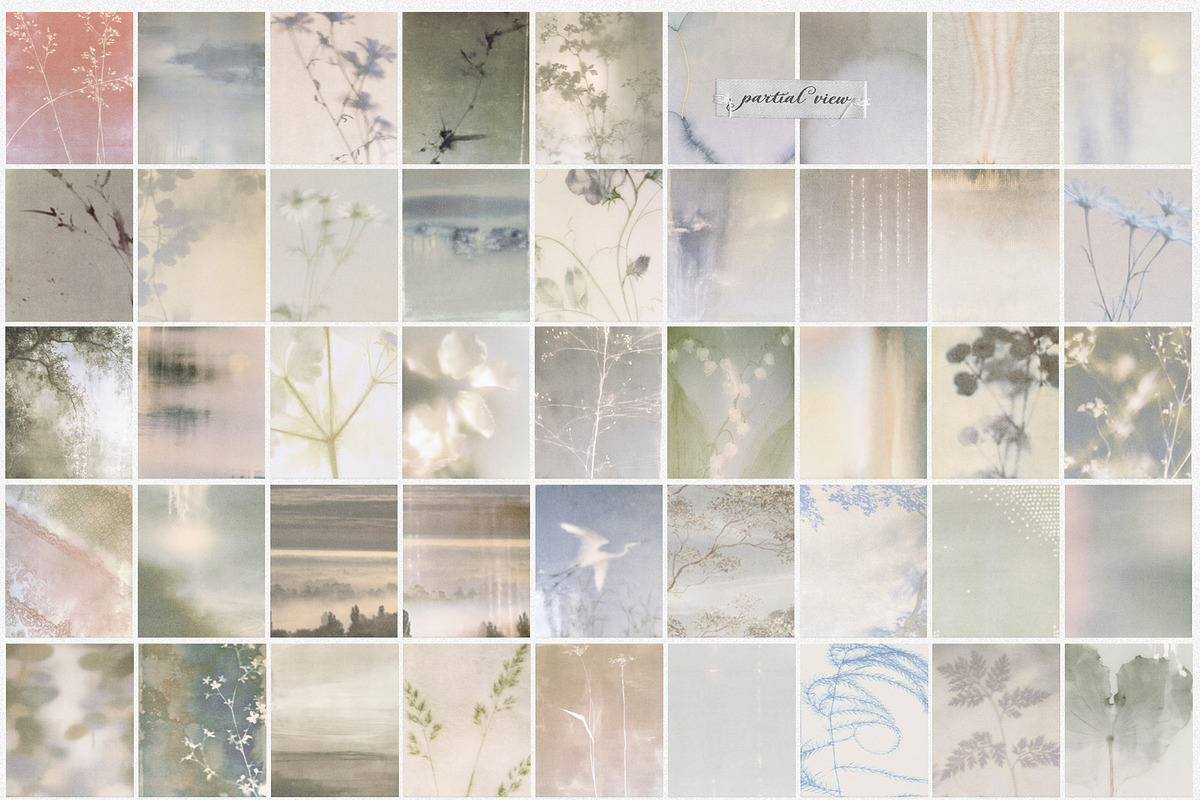 Partial View - Nature Backgrounds, a Background Graphic by Purple (Photo 11 of 12)