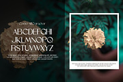 Urino, a Serif Font by riotama85 (Thumbnail 4 of 5)