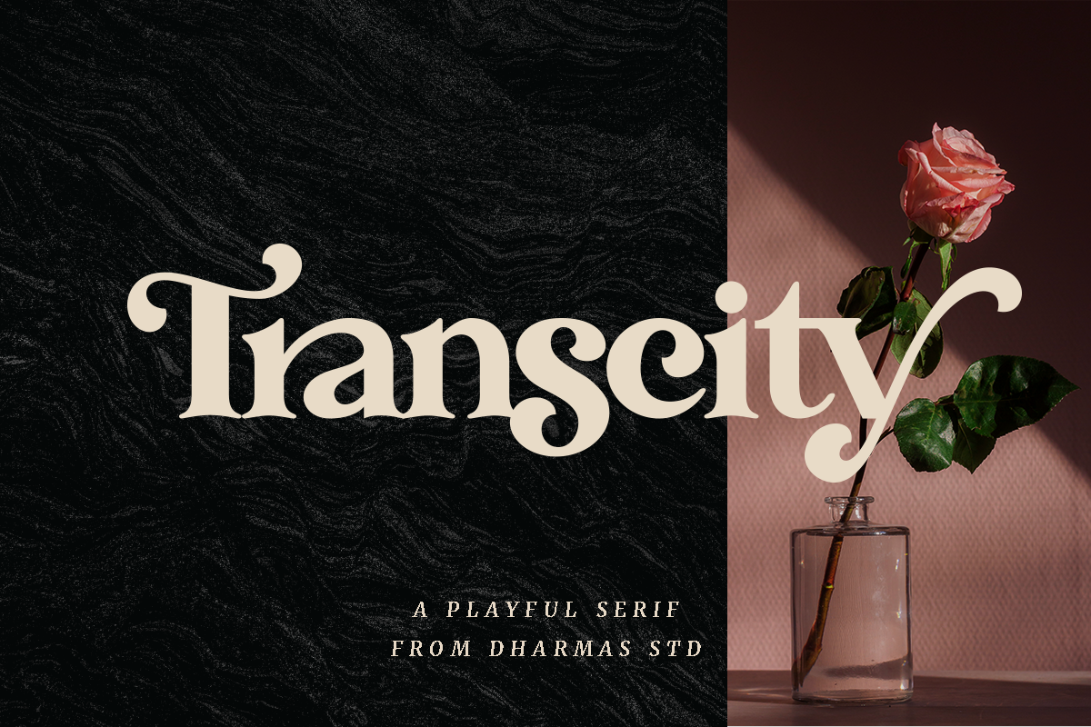 Transcity - A Playful Serif, a Serif Font by Dharmas Foundry (Photo 16 of 16)