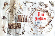 Trees Sketches, an Illustration by Nadiia Hanina (Thumbnail 2 of 5)
