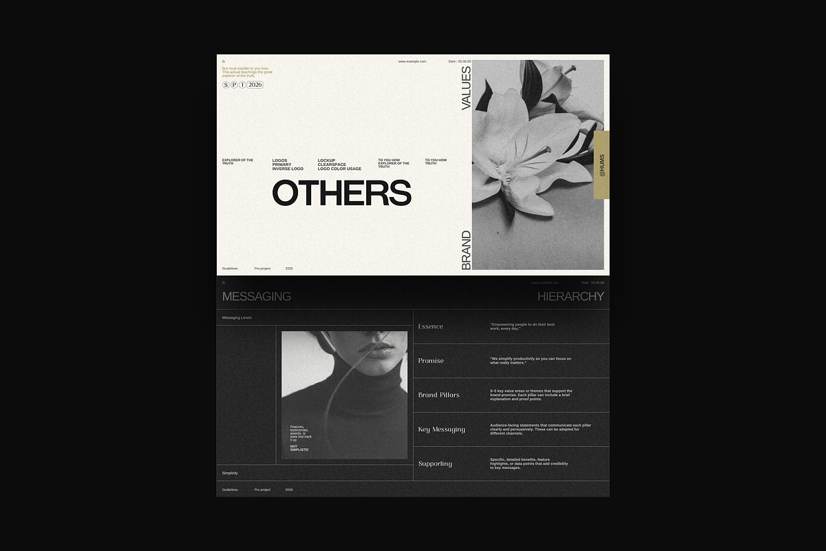 The Brand Guidelines, a Presentation Template by SparkPro (Photo 9 of 14)