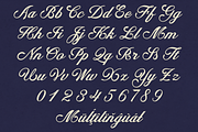 Dorvellia – Calligraphy Font, a Script Font by NDNL Studio (Thumbnail 6 of 8)