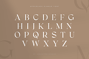 Ginkgo - Modern Classy Serif Font, a Serif Font by Sensatype (Thumbnail 18 of 20)