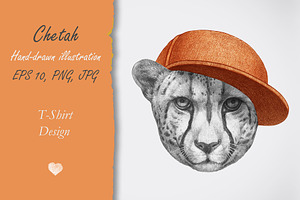 Cheetah / Design