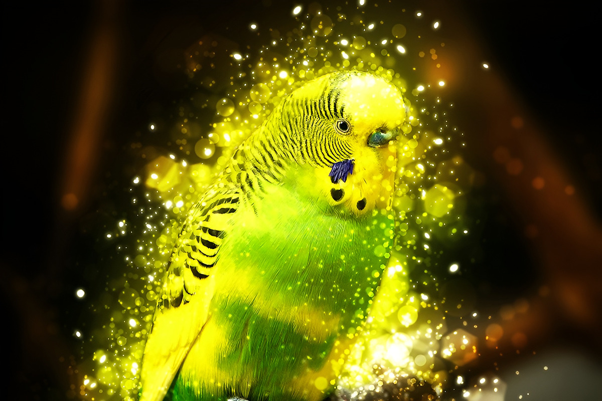 Shimmer Photoshop Action, an Action Add-On by AB-TheDesigner (Photo 4 of 4)