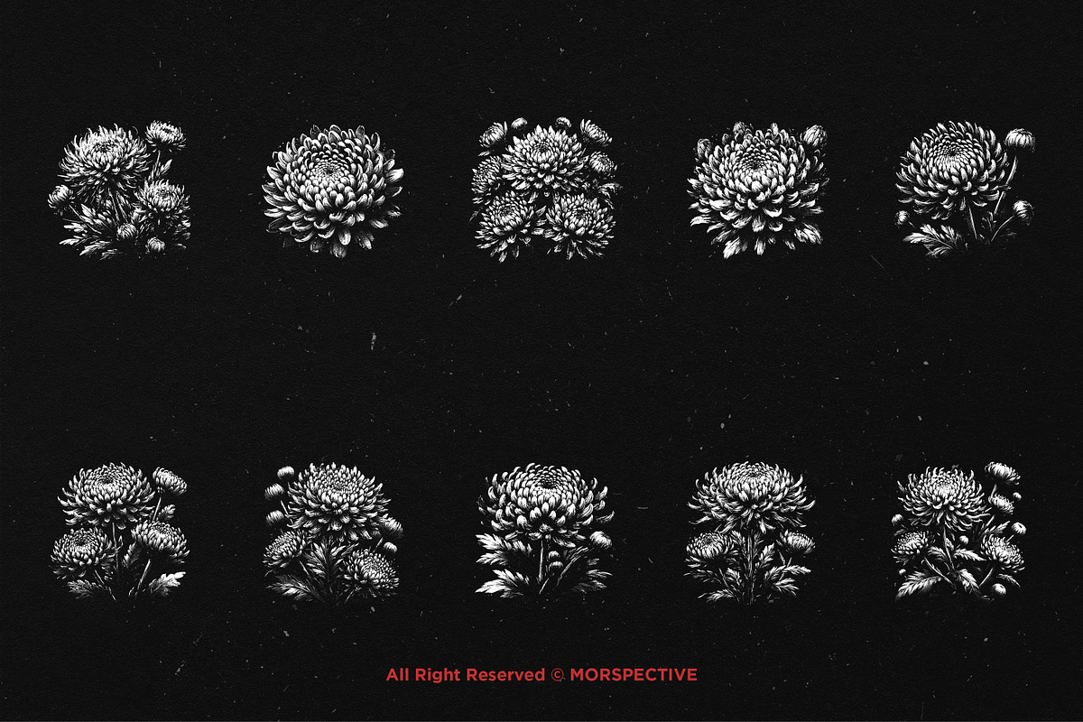 10 Bundle Dark Art Chrysan Flower, an Illustration by Morspective (Photo 6 of 7)