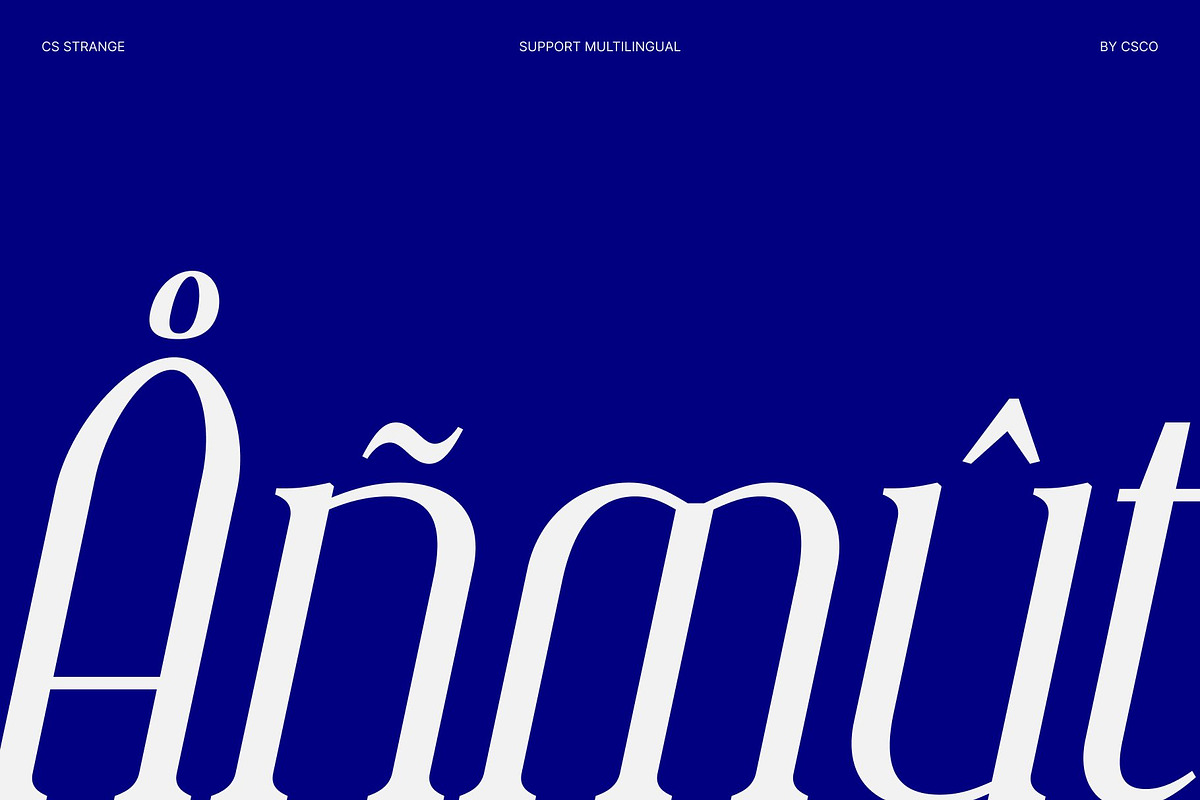 CS Strange – Modern Serif Font, a Serif Font by Craft Supply Co. (Photo 7 of 8)