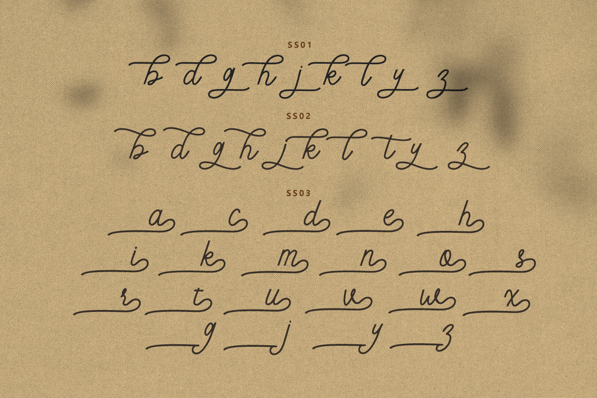 Meraline - Monoline Script, a Script Font by Bale Type (Photo 10 of 10)