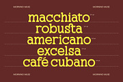 Molusen New Retro Serif Display Font, a Slab Serif Font by timelesstype.co (Thumbnail 3 of 10)