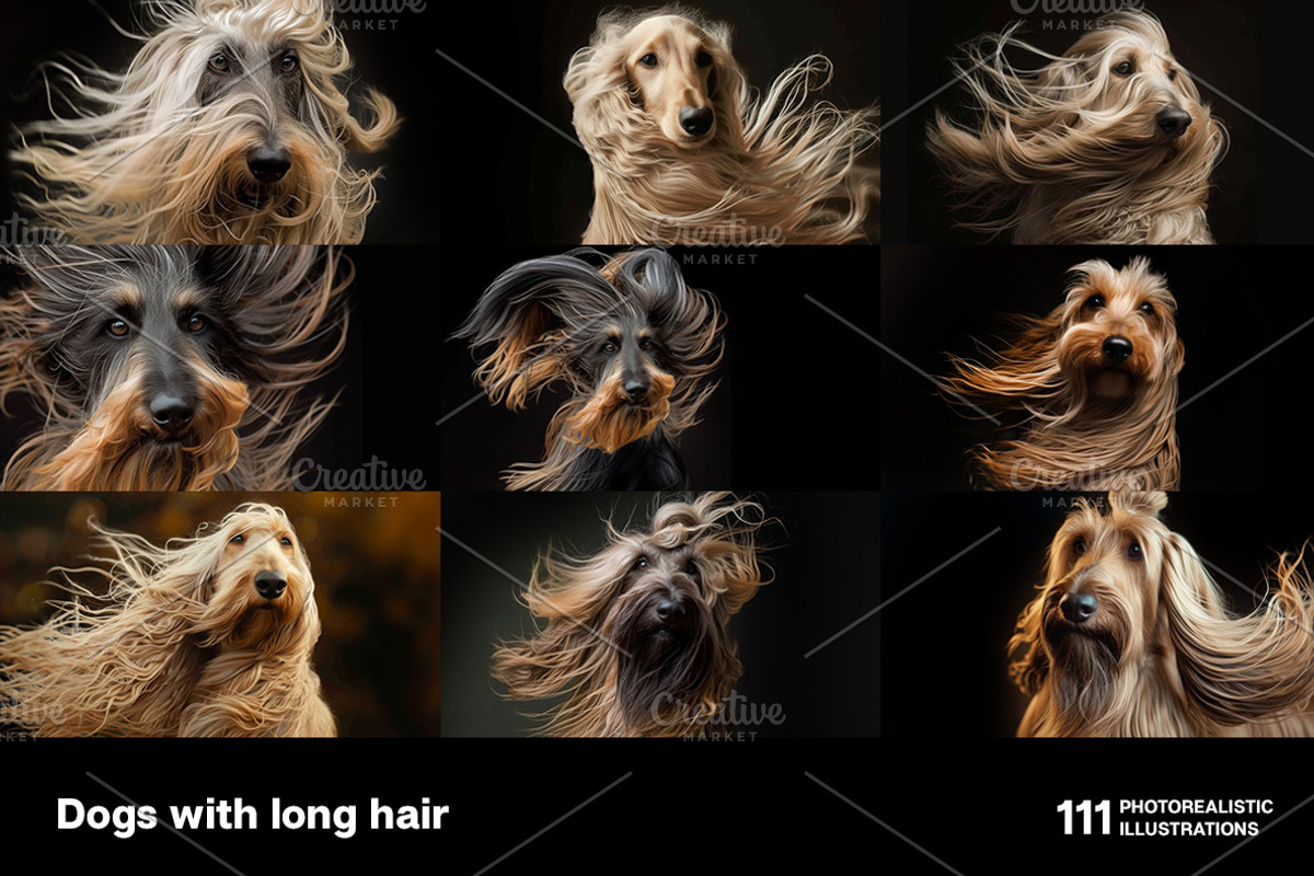 Dogs with long hair. 111 images, an Animal Photo by Handmadefont (Photo 2 of 15)