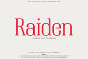 Raiden - Serif font family, a Serif Font by Artistic & Unique