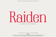 Raiden - Serif font family, a Serif Font by Artistic & Unique (Thumbnail 1 of 13)