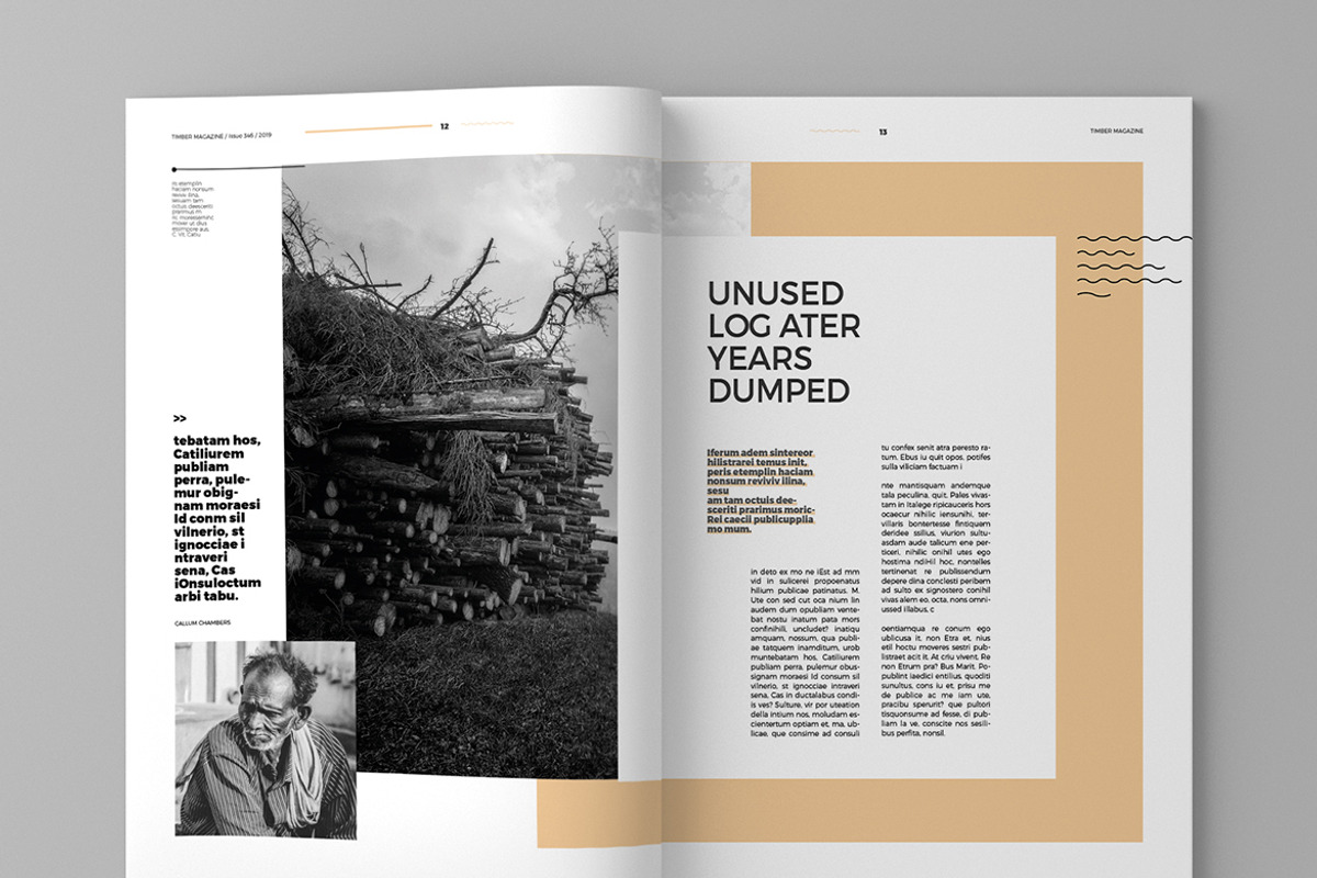 Timber - Magazine Template, a Magazine Template by inspirasign