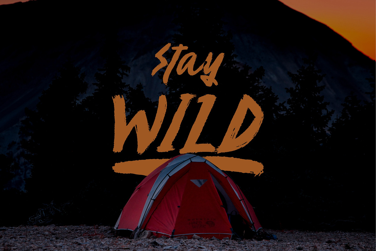 VENATOR Brush Font, a Script Font by Garisman Std (Photo 5 of 9)