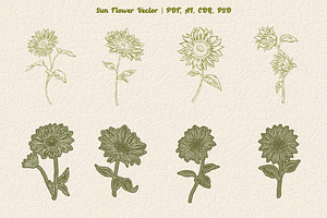Sun Flower Vector Line