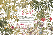 Distribution of English Plants, a Decorative Illustration by Lilithcollageart (Thumbnail 1 of 8)