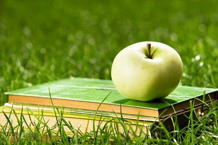 Apple on pile of books on grass, a School & Education Photo by Photocreo Michal Bednarek