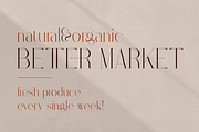 Stolen Love - Elegant serif typeface, a Serif Font by VP Fonts (Thumbnail 12 of 34)