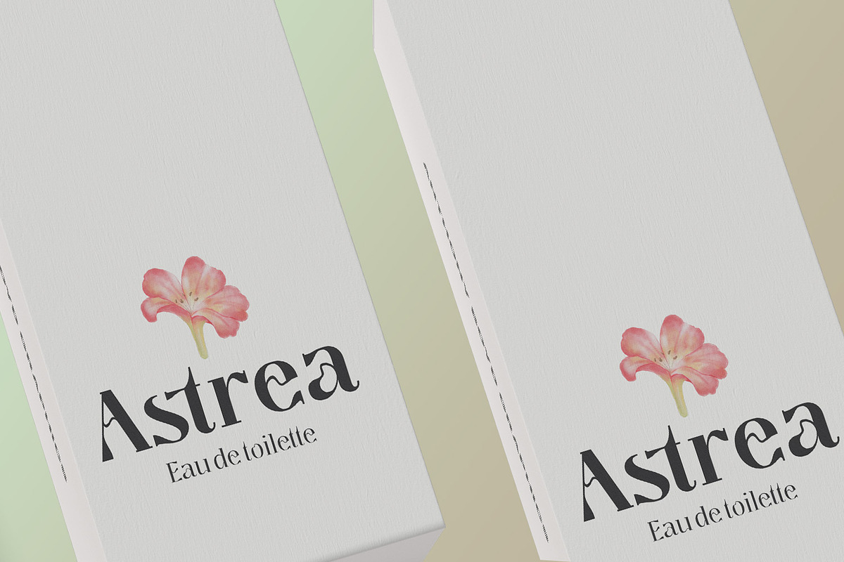 Segina - Decorative Serif, a Serif Font by creativemedialab (Photo 5 of 12)