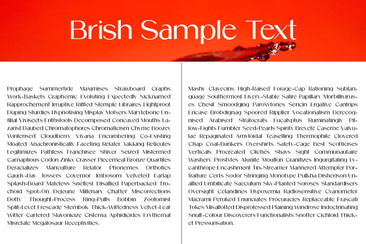 Brish, a Sans Serif Font by Zane Studio (Photo 7 of 11)