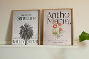 Raslera Modern Serif Display, a Sans Serif Font by timelesstype.co (Thumbnail 7 of 20)