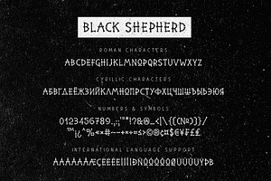 Black Shepherd