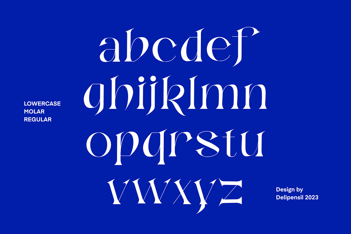 MOLAR - Modern Serif Typeface, a Serif Font by delipensil (Photo 7 of 9)