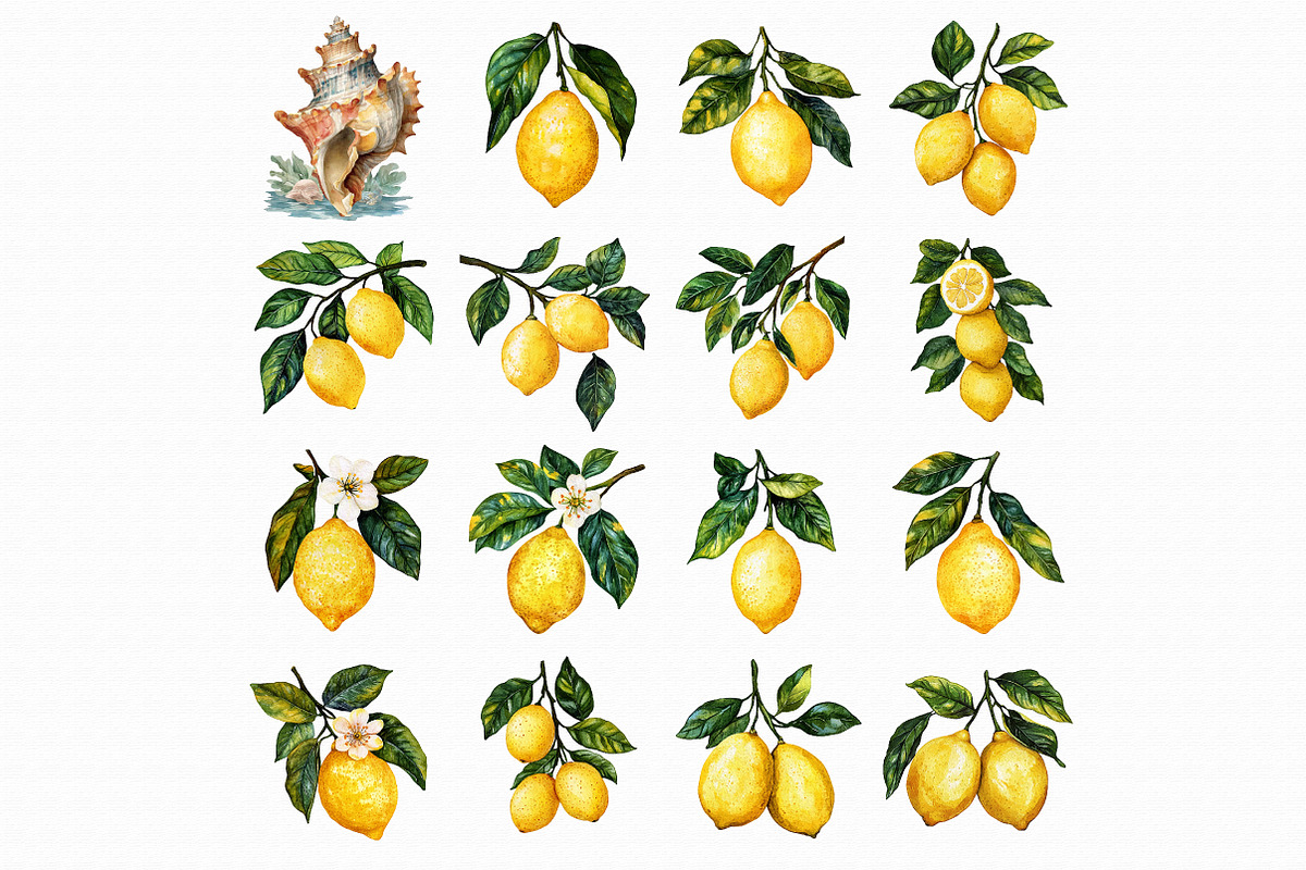 Watercolor Lemon Clipart, an Illustration by Libby Wishes (Photo 4 of 4)