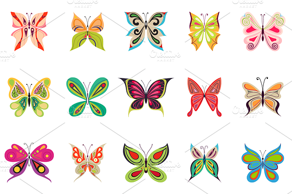 15 Beautiful Butterflies In Color An