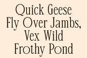 CS Quinary Drawn, a Serif Font by Craft Supply Co. (Thumbnail 2 of 8)