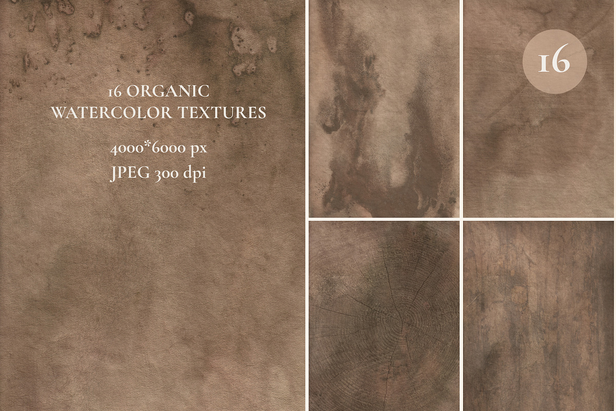 FOREST Organic Textures Backgrounds, a Background Graphic by Alisovna (Photo 8 of 12)