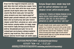 Things Change Handwritten Font